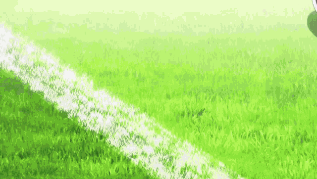 a black and white soccer ball is on a soccer field