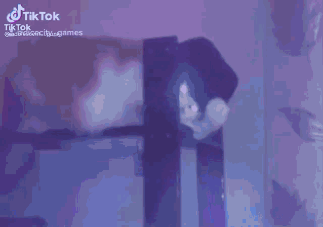 a tiktok video of a person standing in front of a fence with a purple background