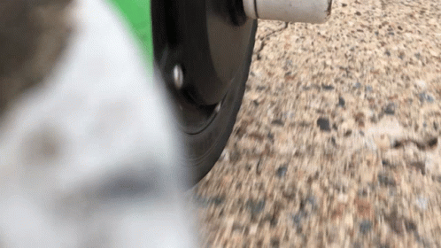 Lime Scooters GIF - Lime Scooters Bird GIFs