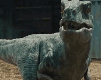 a close up of a dinosaur with its mouth open and its teeth visible .