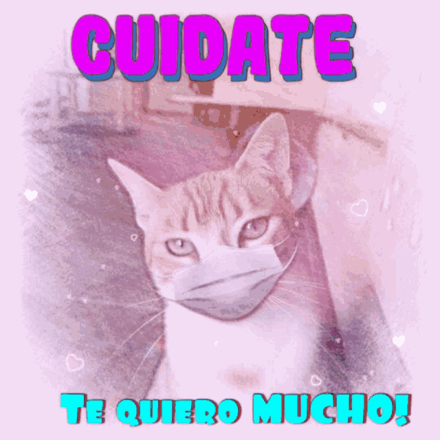 a cat wearing a face mask with the words cuidate te quiero mucho on the bottom