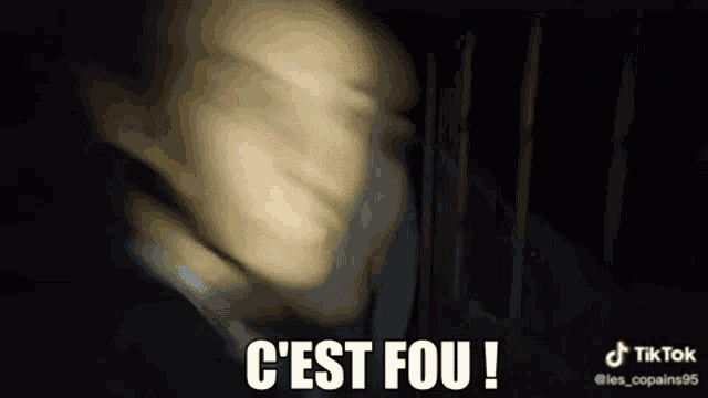 a blurry picture of a man 's face with the words `` c'est fou '' written in white letters .