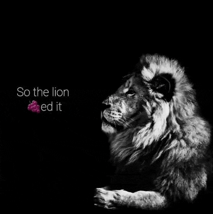 a black and white photo of a lion in the dark with the words `` so the lion ed it '' .