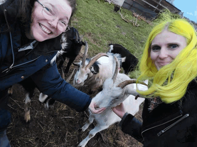 a woman with green hair is petting a goat in a field