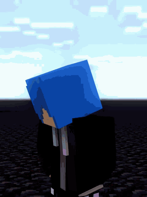 a minecraft character with blue hair and a black shirt