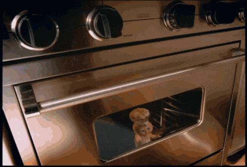 a stainless steel stove with a cat looking out of the door