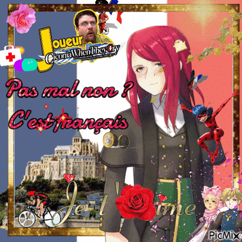 a picture of a girl with red hair and the words pas mal non