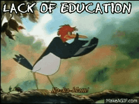 Fox And The Hound Education GIF - Fox And The Hound Education Elimination GIFs