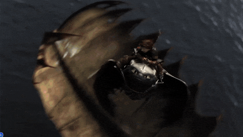 toothless and hiccup from how to train your dragon are riding on a dragon