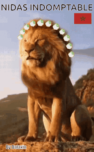 a picture of a lion with the words nidas indomptable written on it