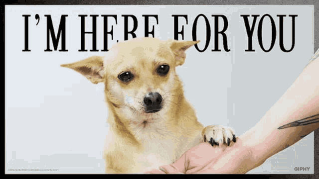 Here For You GIF - Here For You GIFs