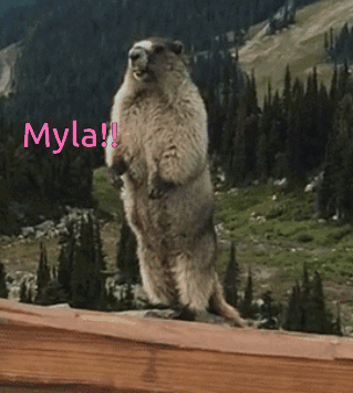 Myla Marmota GIF - Myla Marmota Grito GIFs