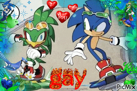 a collage of sonic the hedgehog and jet the hedgehog with the word gay in the middle