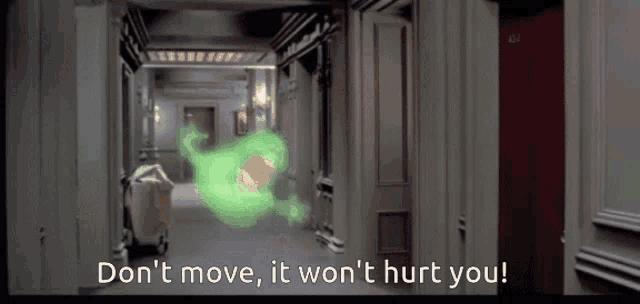 a ghost is flying through a hallway with the words do n't move , it won 't hurt you
