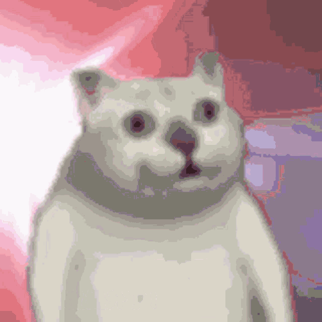 a white cat with a surprised look on its face is standing in front of a pink background .