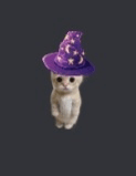 Cat Wizard GIF - Cat Wizard GIFs