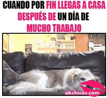 a picture of a dog laying on a couch with the words cuando por fin llegas a casa on top