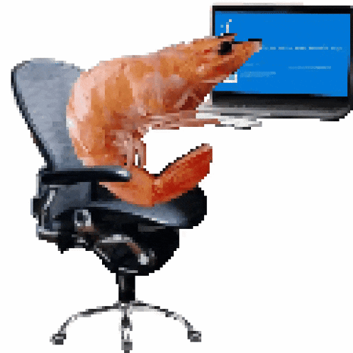 a cat is sitting on an office chair in front of a laptop with a blue screen