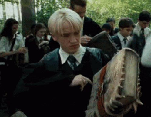 Harry Potter Draco Malfoy GIF - Harry Potter Draco Malfoy Tom Felton GIFs