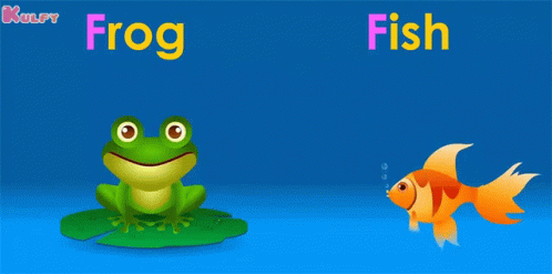 F For Fish Fish GIF - F For Fish Fish Frog GIFs