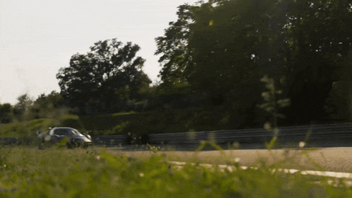 a car is driving down a road surrounded by grass and trees