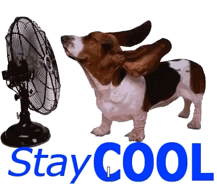 Cooling GIFs Tenor