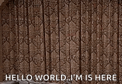 a woman is standing in a living room with her arms outstretched and says `` hello world , i 'm here ''