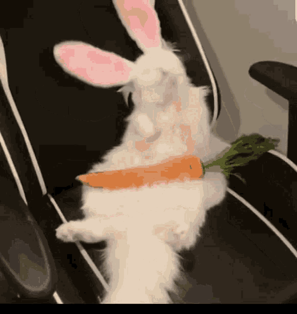 Buona Pasqua Happy Easter GIF - Buona Pasqua Happy Easter Bunny GIFs