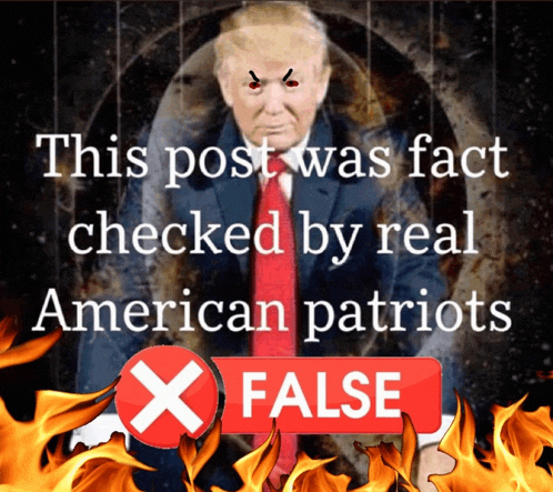 a picture of donald trump with the words this post was fact checked by real american patriots behind him
