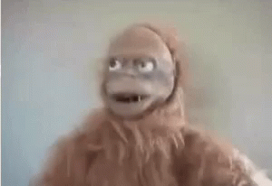 Crazy Eye Monster GIF - Crazy Eye Monster Robot Orangutan GIFs