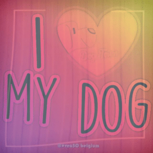 Love Dog Vec50 GIF - Love Dog Vec50 GIFs