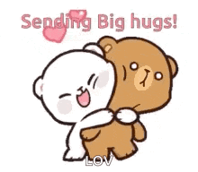 a couple of teddy bears hugging each other .