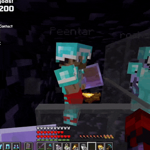 a screenshot of a minecraft game with the name peentar on the screen
