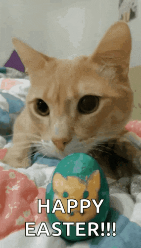 a cat is laying on a bed with an easter egg in its mouth
