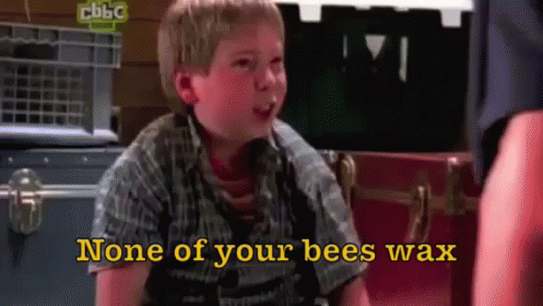None Of Your Bees Wax GIF - Louis Stevens Even Stevens Shia Labeouf GIFs