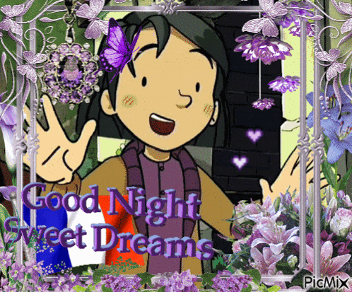 a cartoon of a girl with a butterfly on her head and the words good night sweet dreams