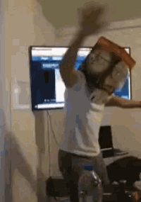 Party Hard Box GIF - Party Hard Box Silly GIFs