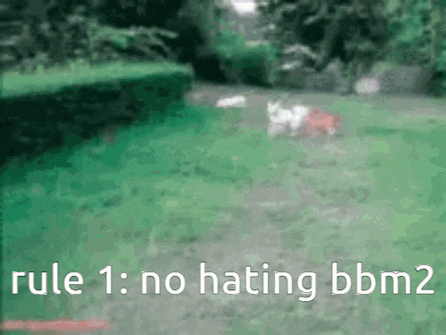 rule 1 : no hating bbm 2 is written in white letters