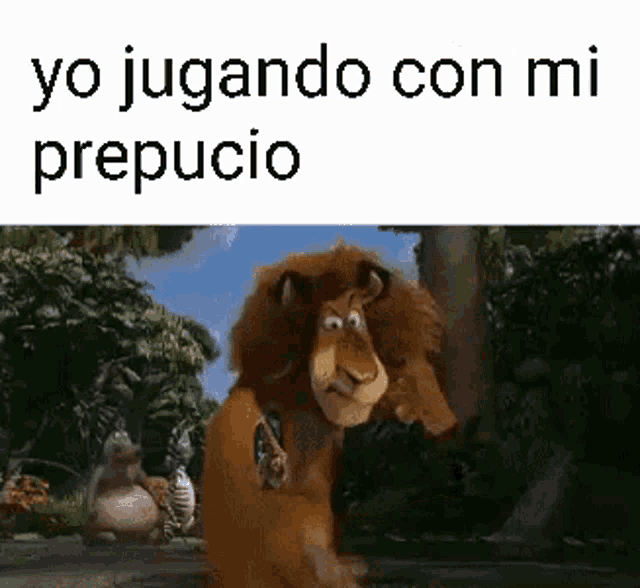 a picture of a cartoon lion with the words yo jugando con mi prepucio