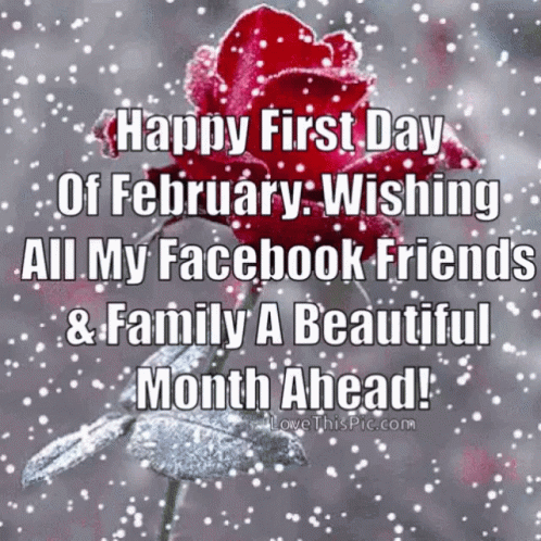Welcome To February Snowing GIF - Welcome To February Snowing Winter GIFs