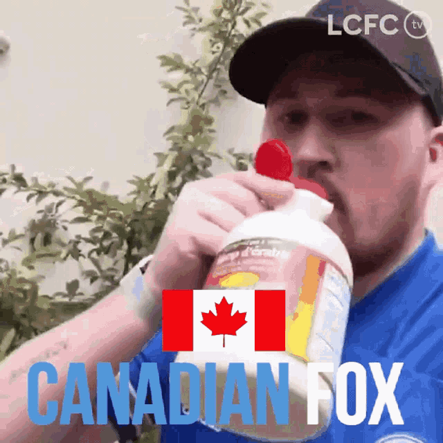 Canadian Fox GIF - Canadian Fox Canadianfox GIFs