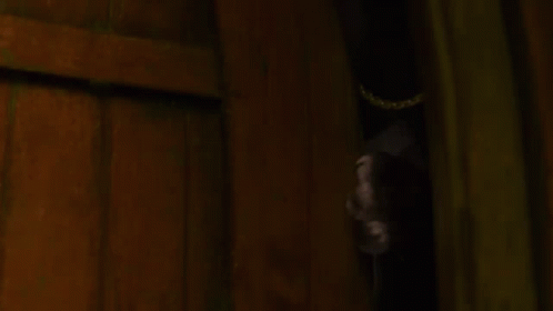 Panthera Black Panthera GIF - Panthera Black Panthera Scared GIFs