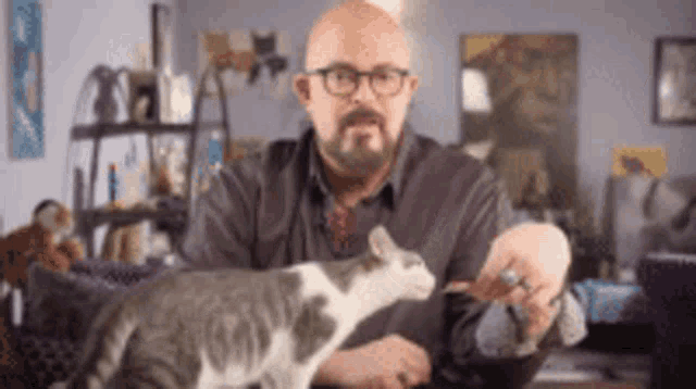 a man with glasses is holding a cat in front of him .