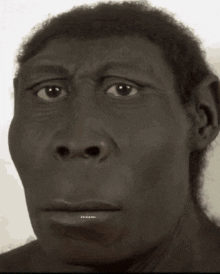 a close up of a monkey 's face with a smile on it