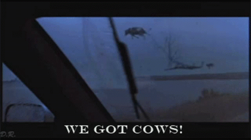We Got Cows Twister GIF - We Got Cows Twister Twister Cows GIFs