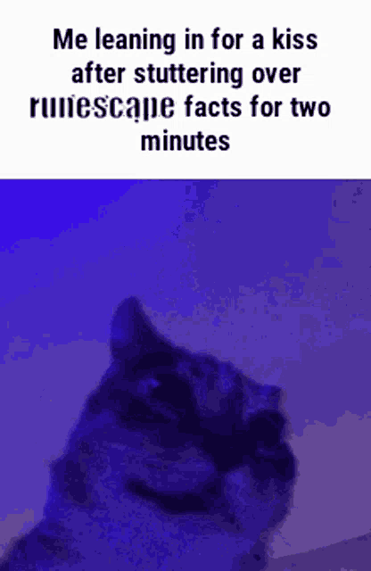 a cat is leaning in for a kiss after stuttering over rulescape facts for two minutes .