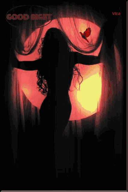 a silhouette of a woman in front of a full moon with the words good night above her
