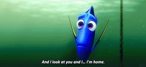 Finding Dory Look At You GIF - Finding Dory Look At You Im Home GIFs