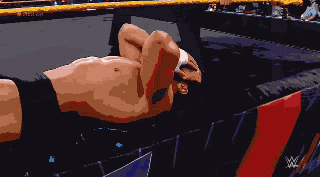 a man is laying on the ground in a wrestling ring with a w logo on the bottom