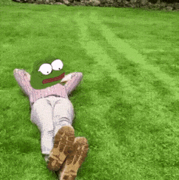 a person is laying on the grass with a frog face on their head .